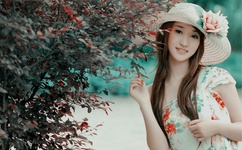 可爱颂的中文意思